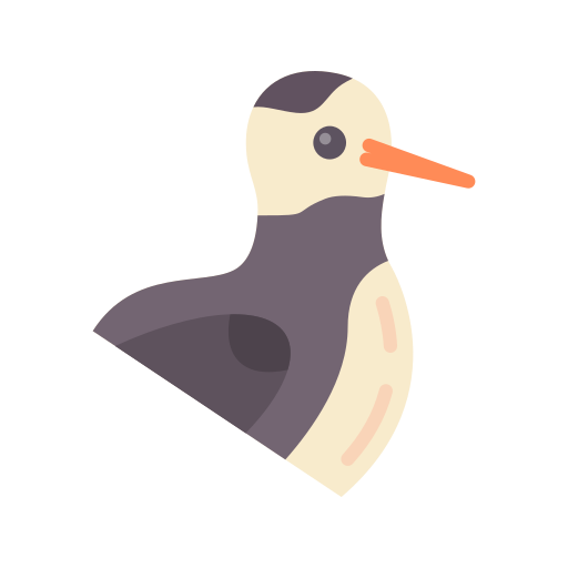 austernfischer kostenlos Icon