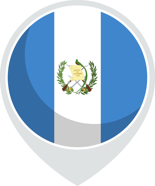 Flag free icon
