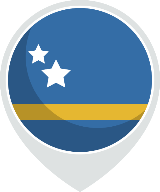 Flag free icon