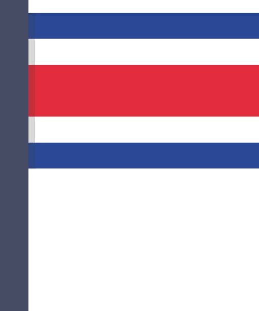 Flag free icon Flag free icon