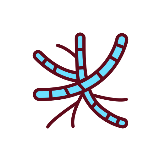 virus kostenlos Icon virus kostenlos Icon