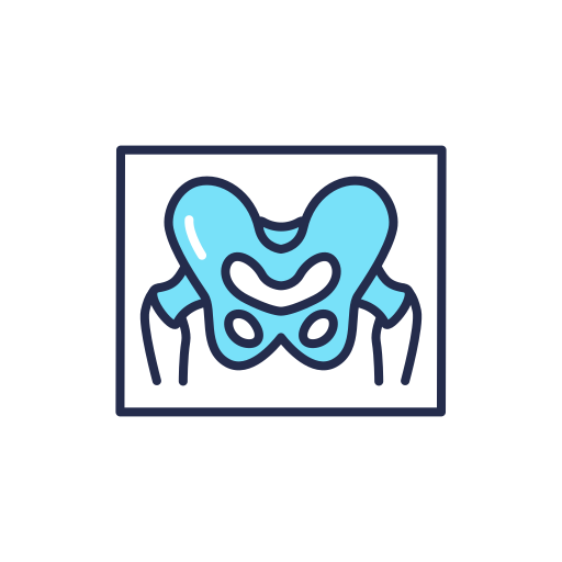 pelvis icono gratis