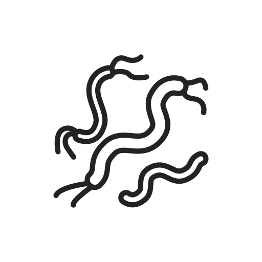 spirille Icône gratuit spirille Icône gratuit