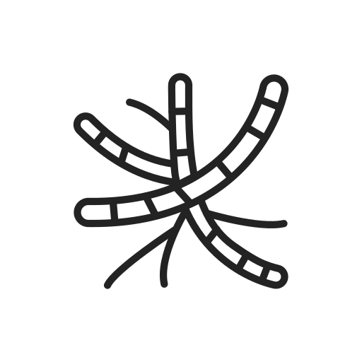 virus kostenlos Icon virus kostenlos Icon