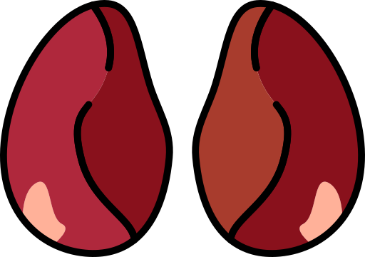 Курица бесплатно иконка