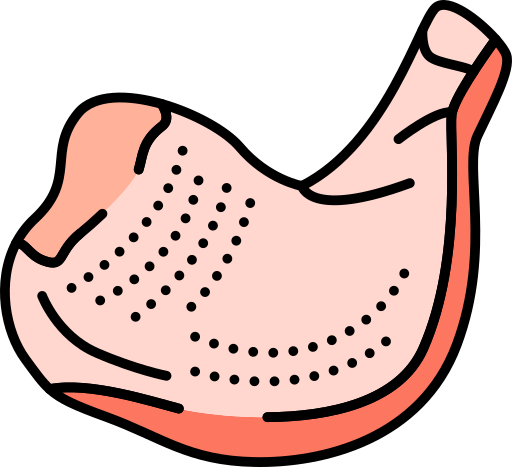 Мясо бесплатно иконка