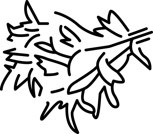 anlage kostenlos Icon anlage kostenlos Icon