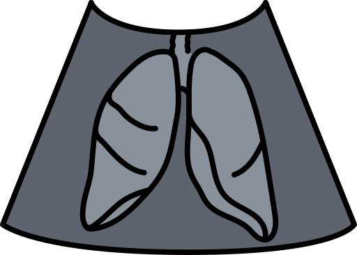 pulmón icono gratis