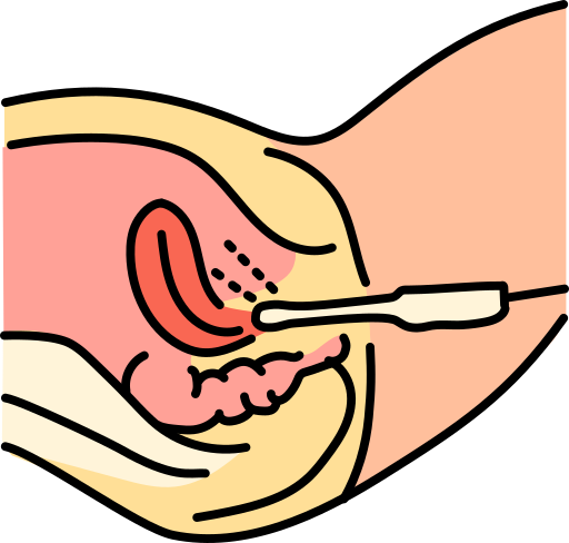Женский бесплатно иконка