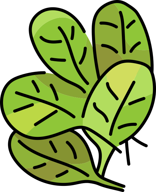 Leaf free icon Leaf free icon