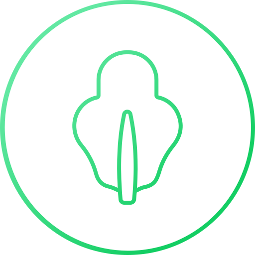 kopfsalat kostenlos Icon kopfsalat kostenlos Icon
