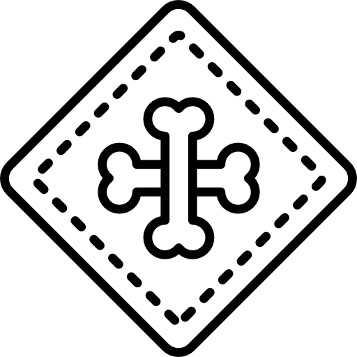 pirate Icône gratuit