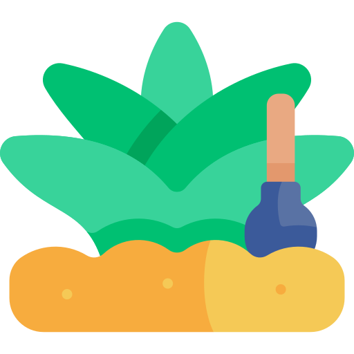 Agave free icon Agave free icon