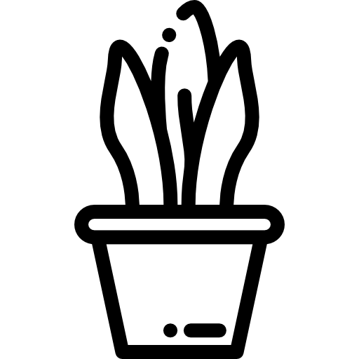 plante Icône gratuit