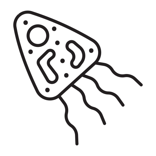 Virus free icon Virus free icon