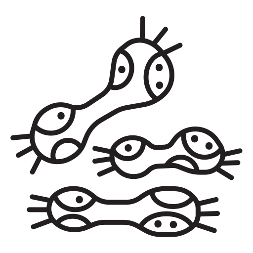 Биология бесплатно иконка