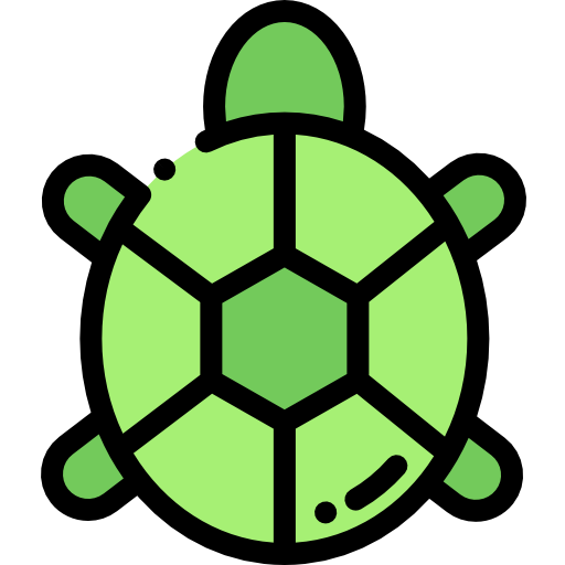 Turtle Detailed Rounded Lineal color icon