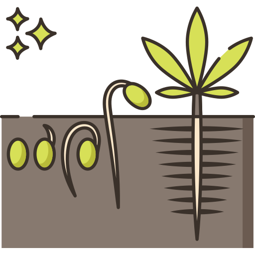 keimung kostenlos Icon keimung kostenlos Icon