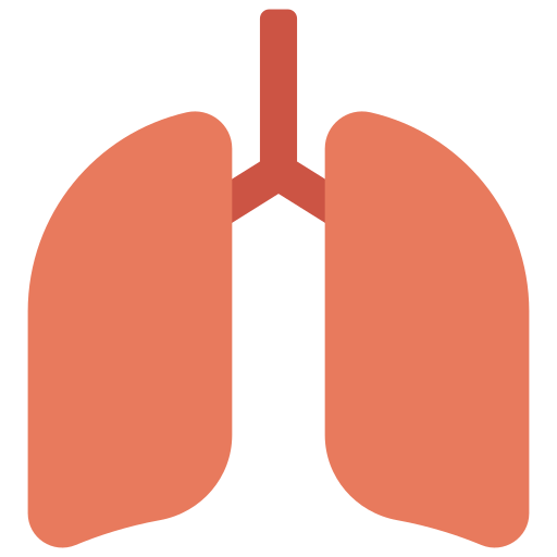 pulmones icono gratis