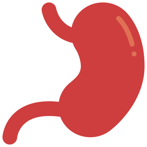 estómago icono gratis