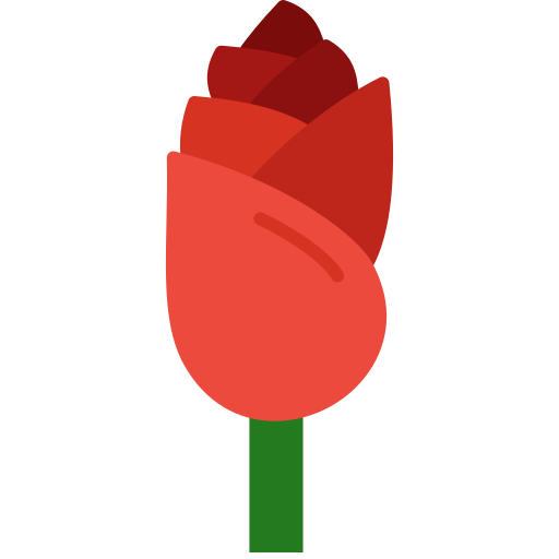 rosa icono gratis