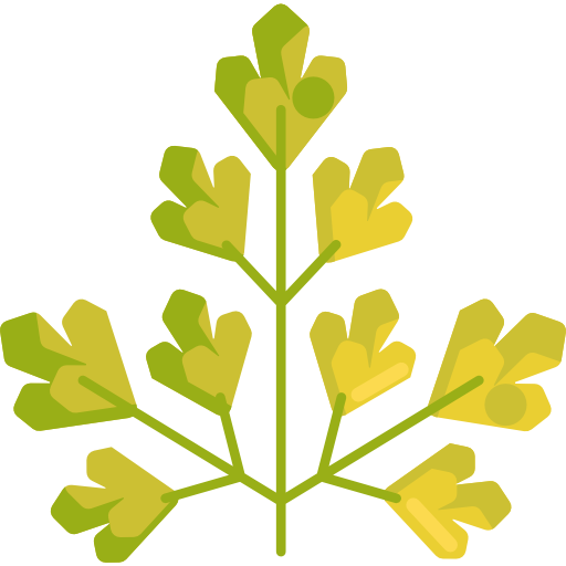 Parsley free icon