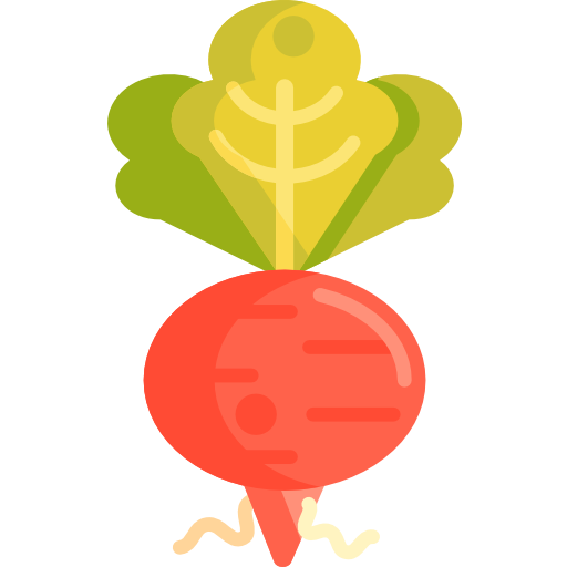 Radish free icon