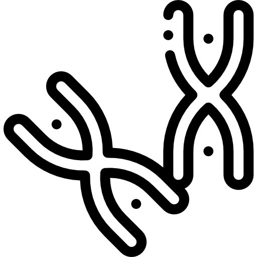 Chromosome Detailed Rounded Lineal Icon