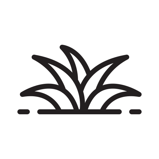 Природа бесплатно иконка Природа бесплатно иконка