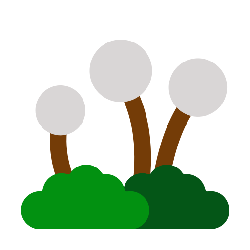 Растение бесплатно иконка