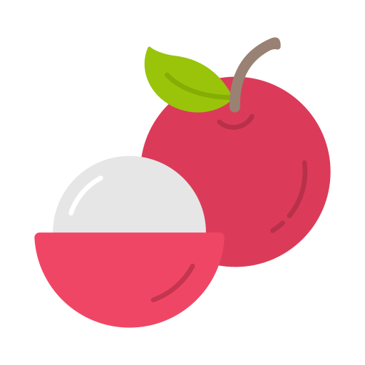 Lychees free icon Lychees free icon