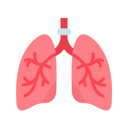 humain Icône gratuit