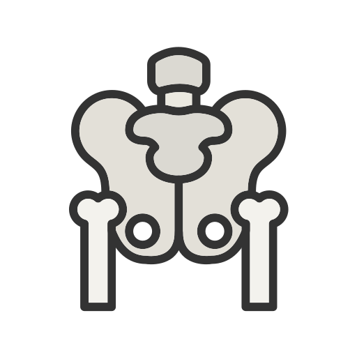 anatomia grátis ícone anatomia grátis ícone