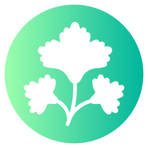 Coriander free icon Coriander free icon