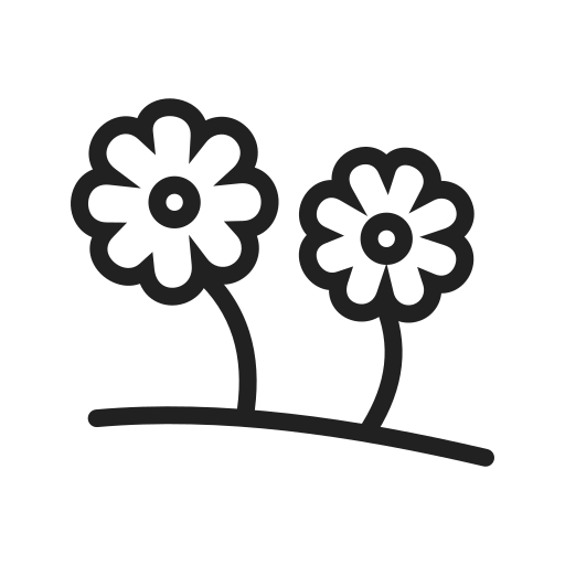 Лето бесплатно иконка