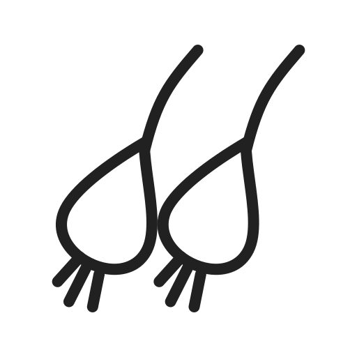 saludable icono gratis