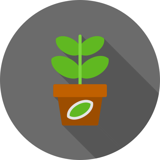 planta de jade icono gratis