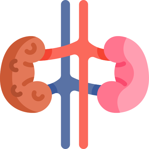 Kidney failure free icon