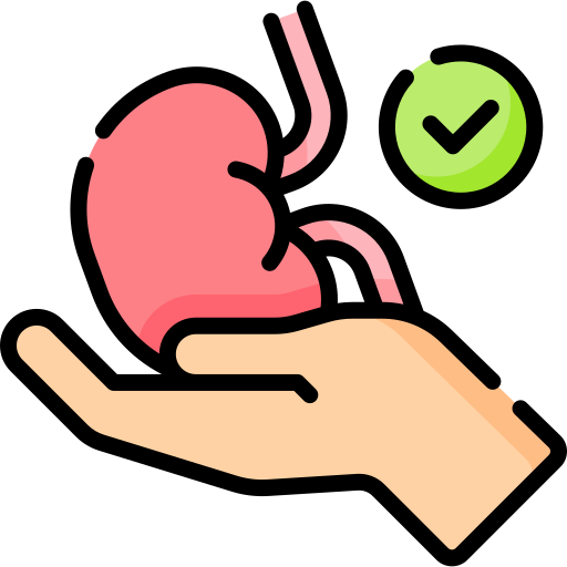 Kidney donor free icon