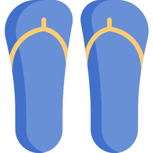 Flip flops Special Flat icon