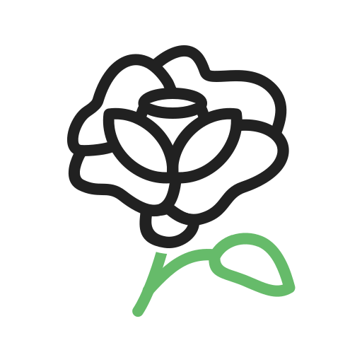 여름 무료 아이콘