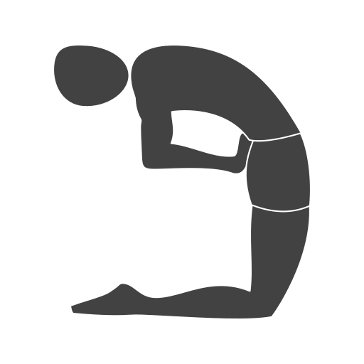 saludable icono gratis