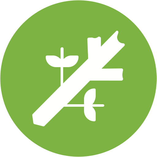 Tree branch - Free nature icons