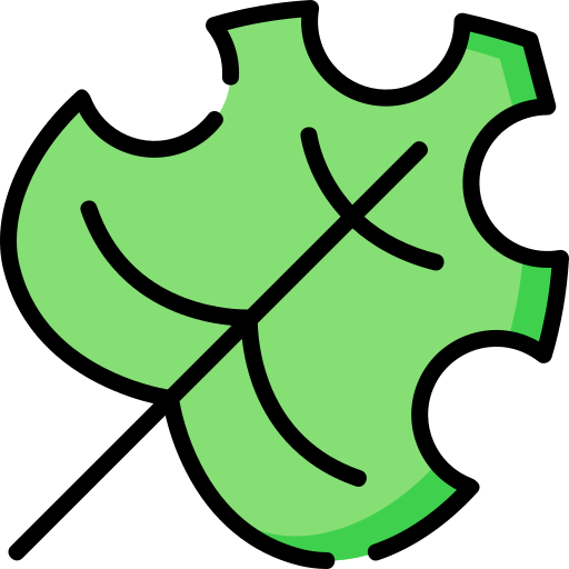 Leaf free icon Leaf free icon