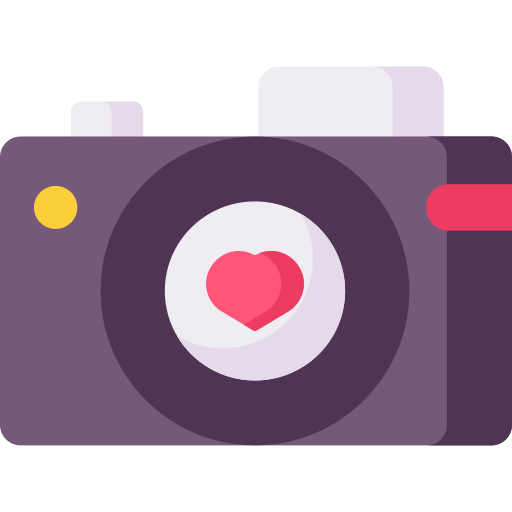 Camera Special Flat icon