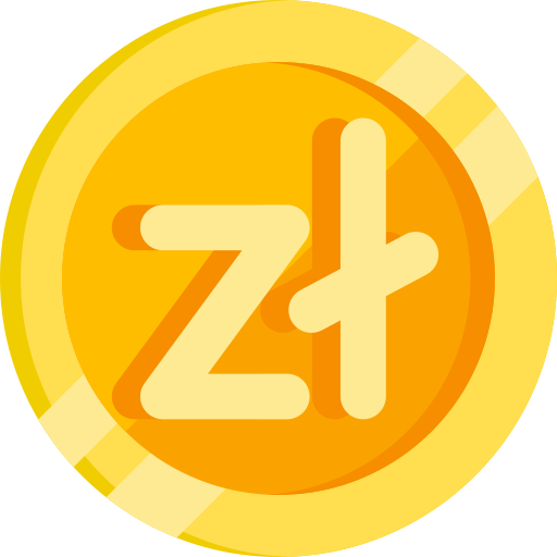 Zloty Special Flat icon