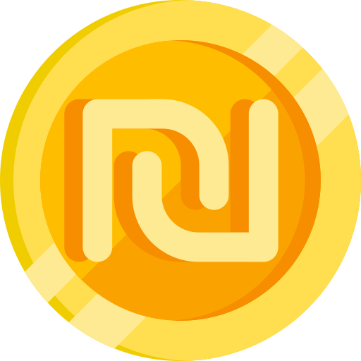 Shekel Special Flat icon