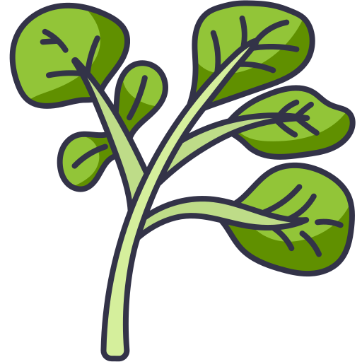 gesundheit kostenlos Icon