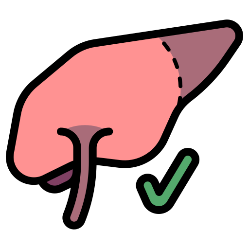 saludable icono gratis