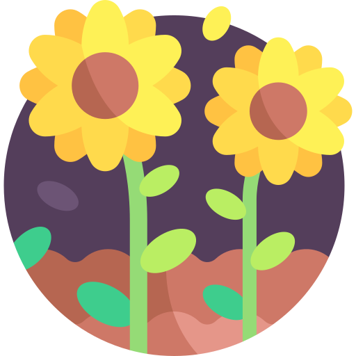 girasol icono gratis